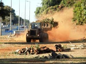 Album_TTN_Fotos_Slide 77