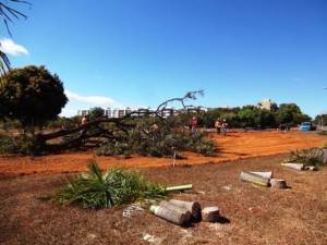 Album_TTN_Fotos_Slide 81