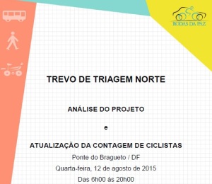 Relatorio-TTN-2015_Rodas Paz_Analise_Projeto Ponte Bragueto_capa